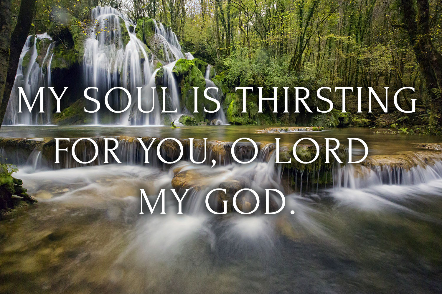 Ordinary Time - Week 32 - Response - English - V2