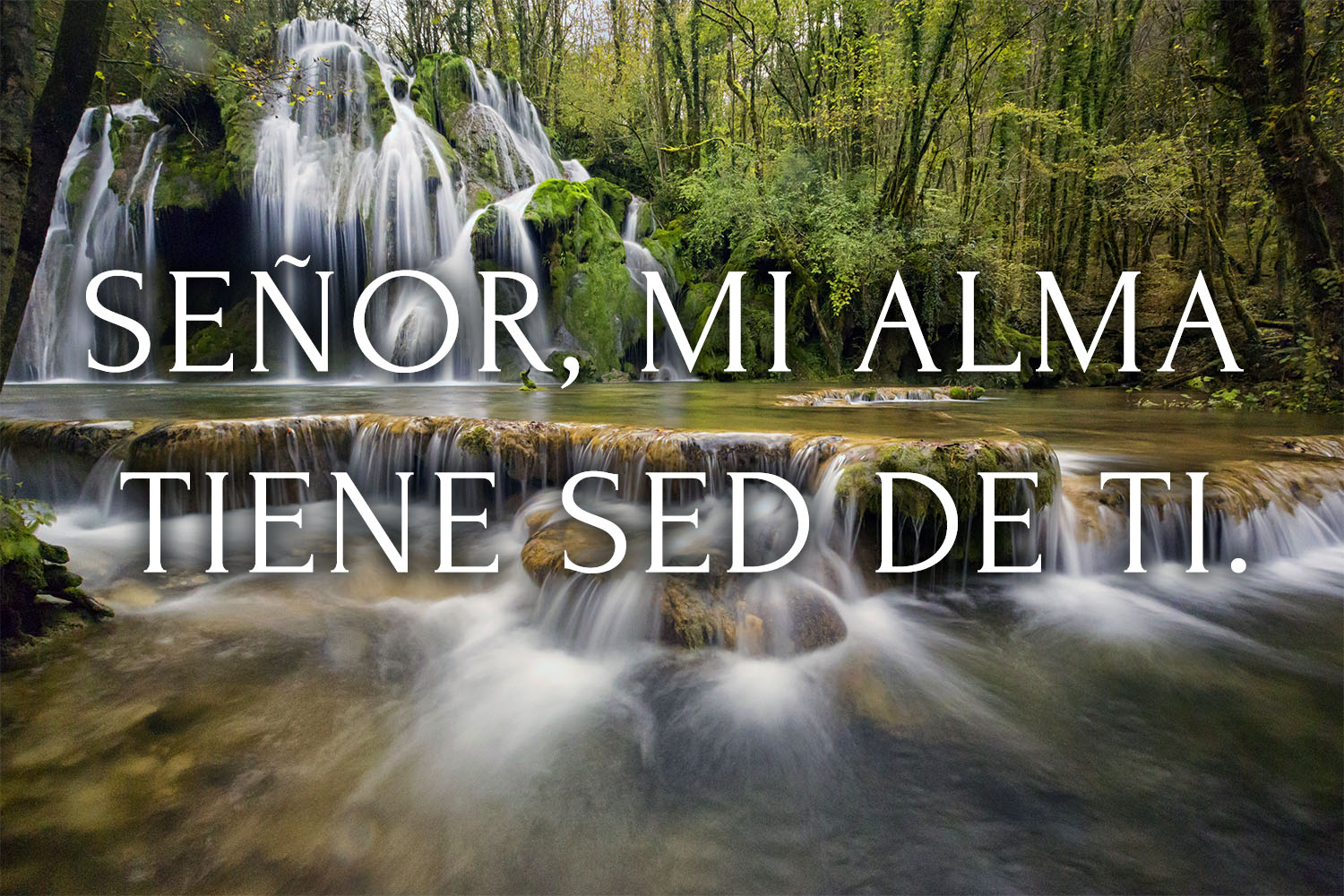 Ordinary Time - Week 32 - Response - Spanish - V2