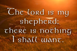 Christ the King - Response - English - V2
