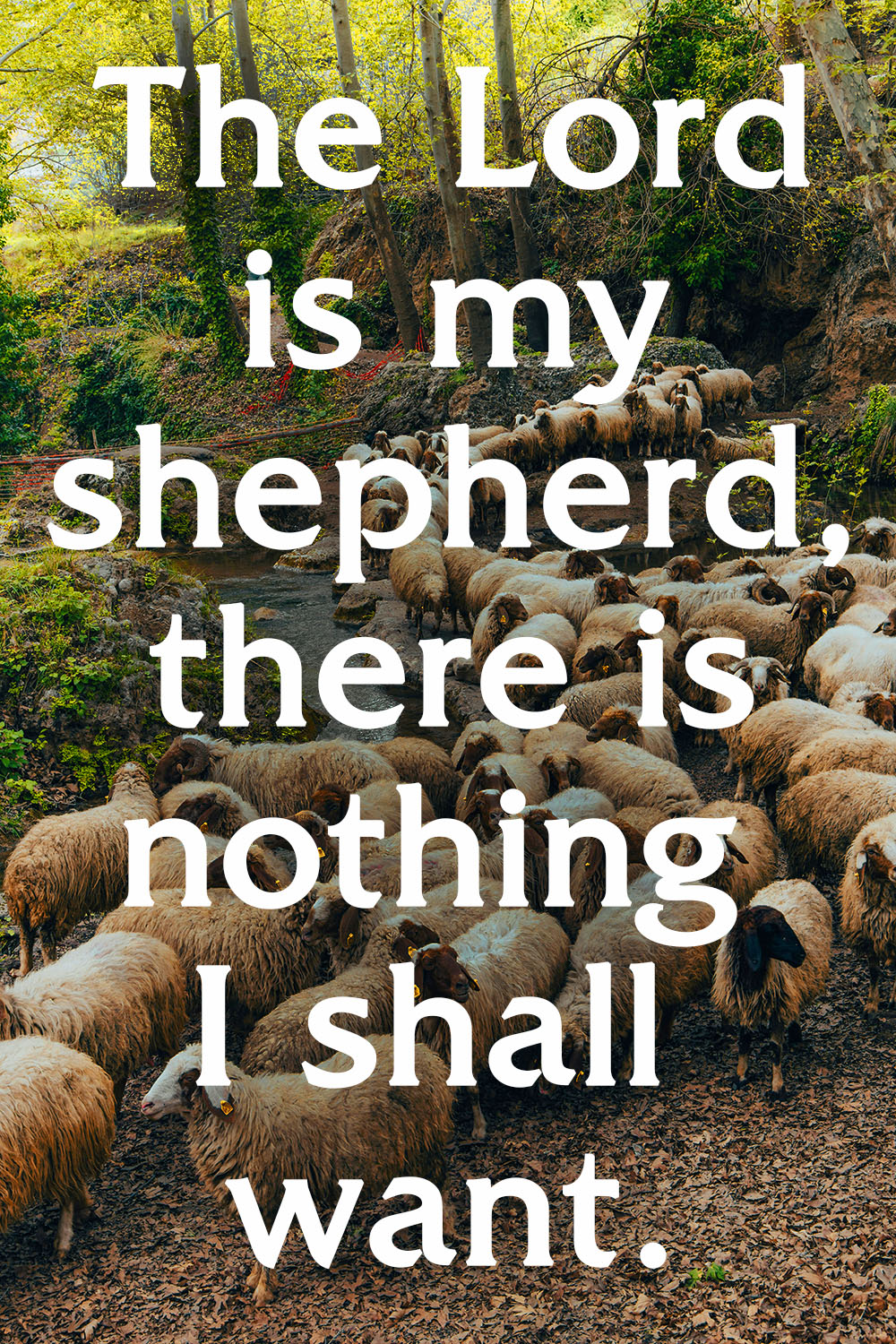 Christ the King - Response - English