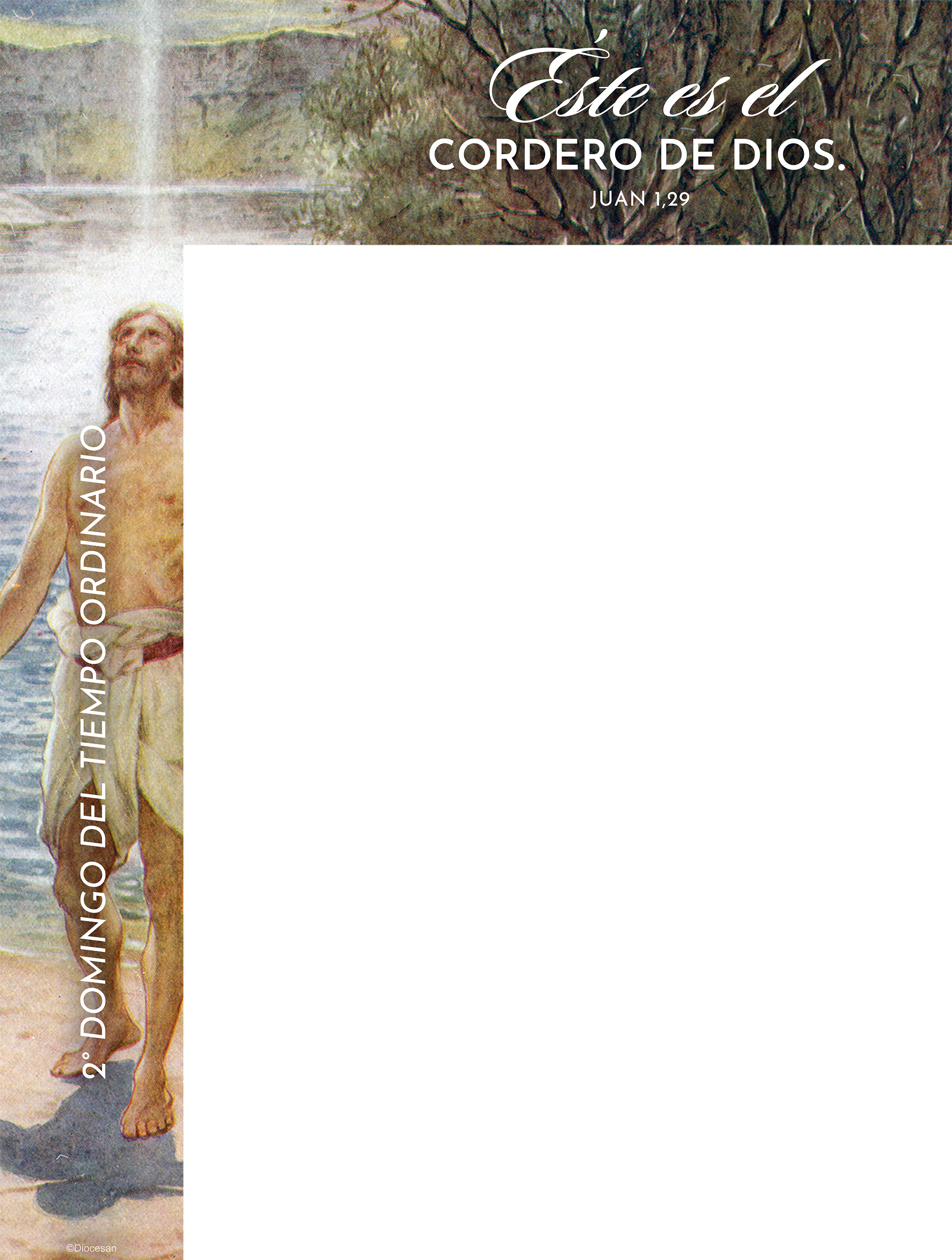 Lamb of God Ordinary Time Spanish Wrapper