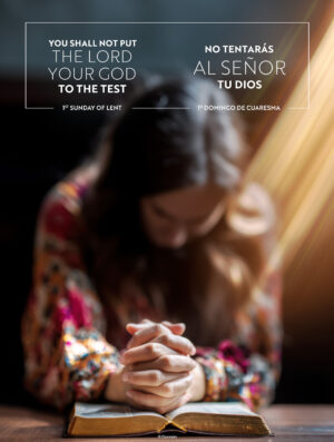 You Shall Not. Bilingual Cover