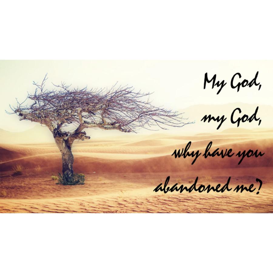 Palm Sunday Response English V2 Diocesan