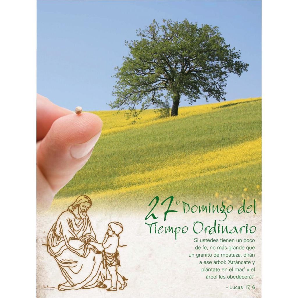 Ordinary Time Week 27 Mustard Seed Spanish Diocesan