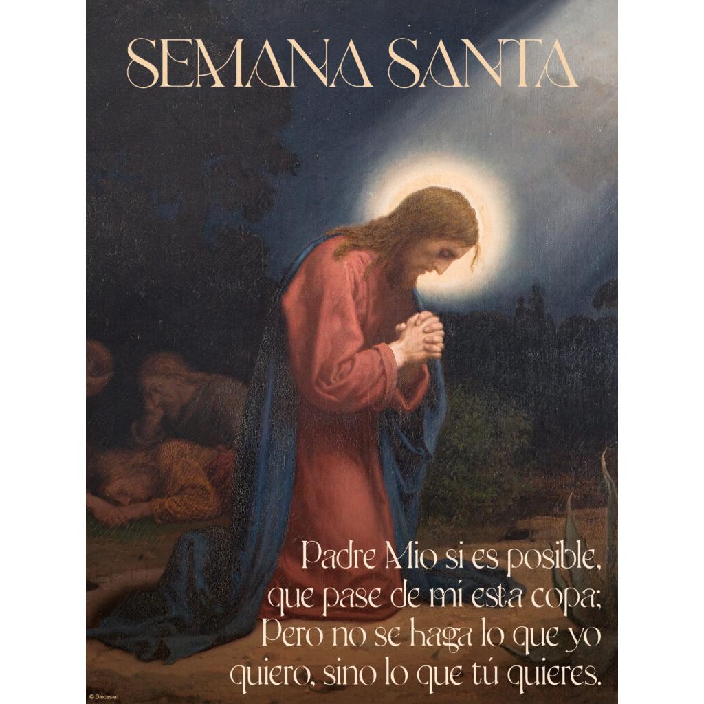 Holy Week Garden of Gethsemane Spanish Cover Diocesan