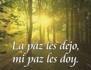 Sixth Sunday of Easter - Gospel - Spanish