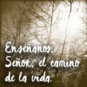 13th Sunday in Ordinary Time - Response - Spanish