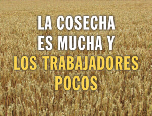 14th Sunday in Ordinary Time - Gospel - Spanish