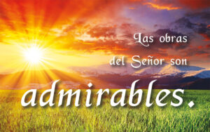 14th Sunday in Ordinary Time - Response - Spanish