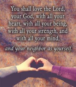 15th Sunday in Ordinary Time - Gospel - English
