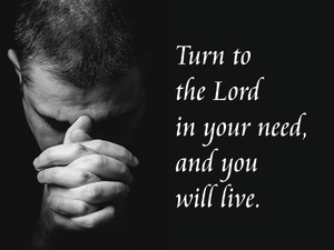 15th Sunday in Ordinary Time - Response - English