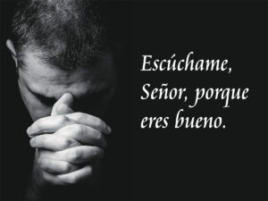 15th Sunday in Ordinary Time - Response - Spanish