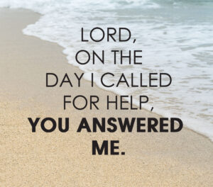 17th Sunday in Ordinary Time - Response - English