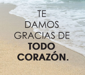 17th Sunday in Ordinary Time - Response - Spanish