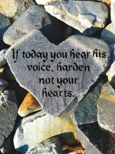 27th Sunday in Ordinary Time - Response - English
