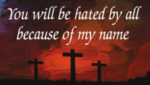 33rd Sunday in Ordinary Time - Gospel - English