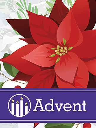 Advent Poinsettia Poster